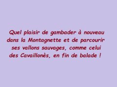 26.09.06 boulbon